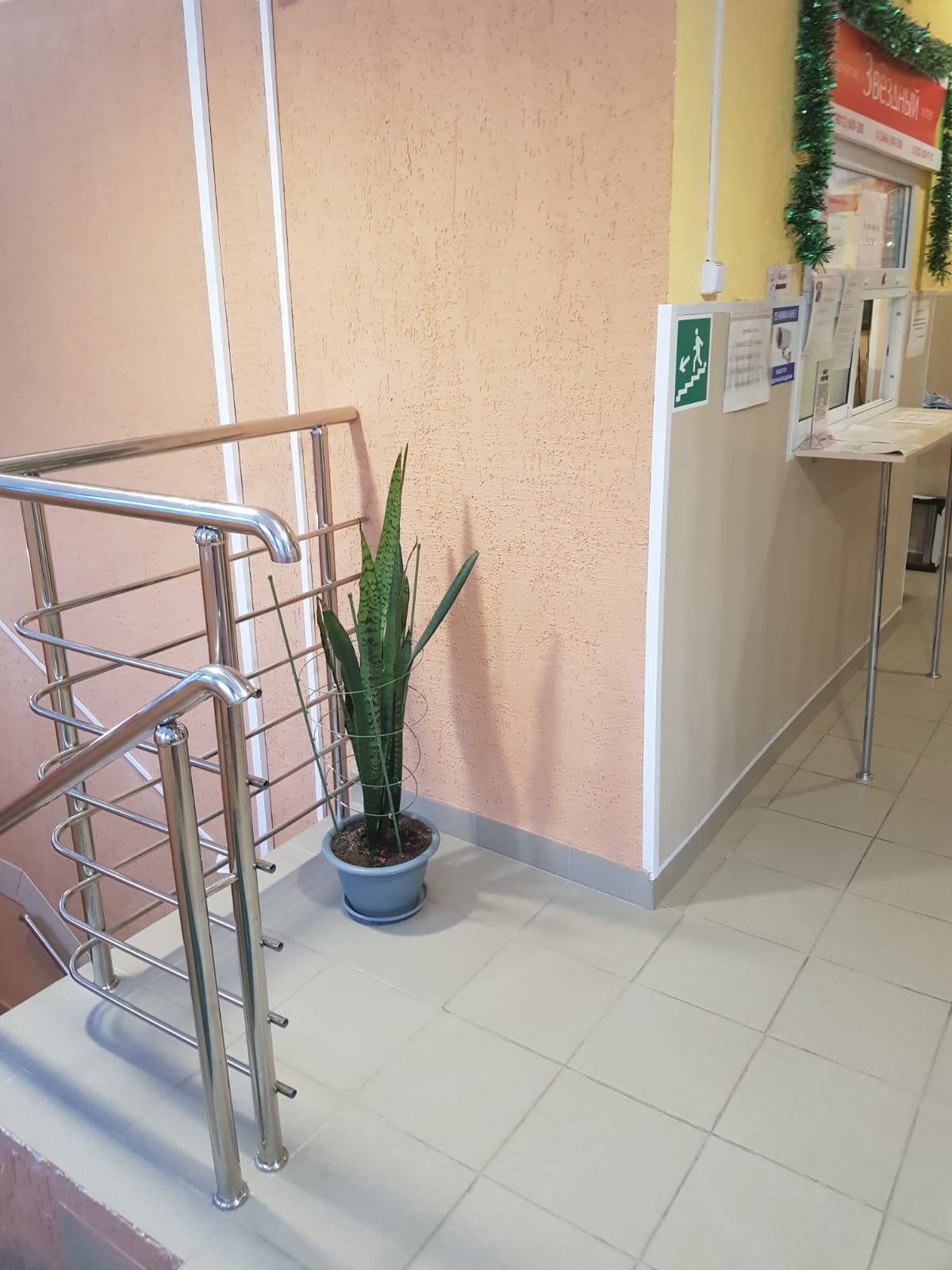 Фото Звёздный