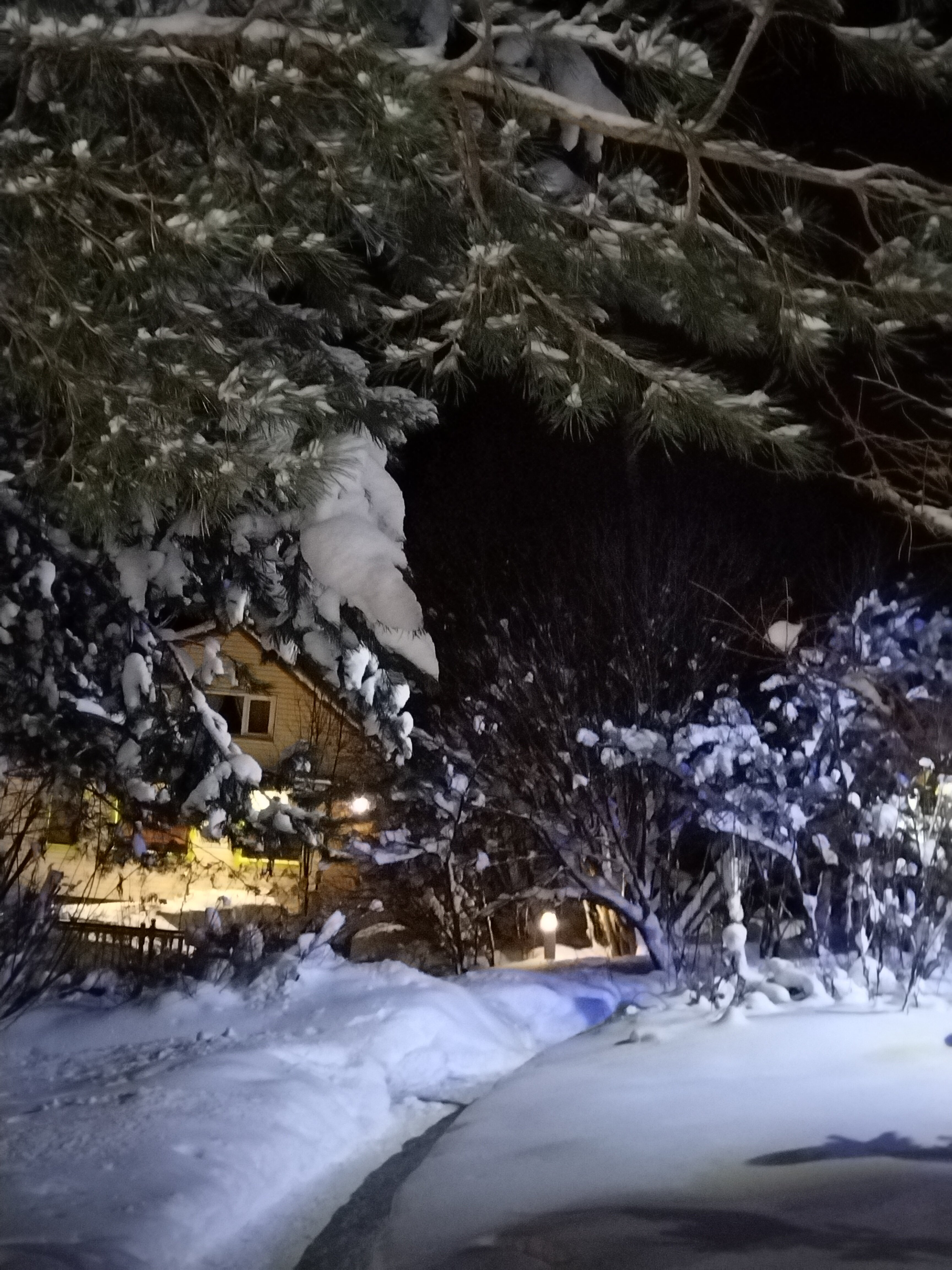 Фото Усадьба