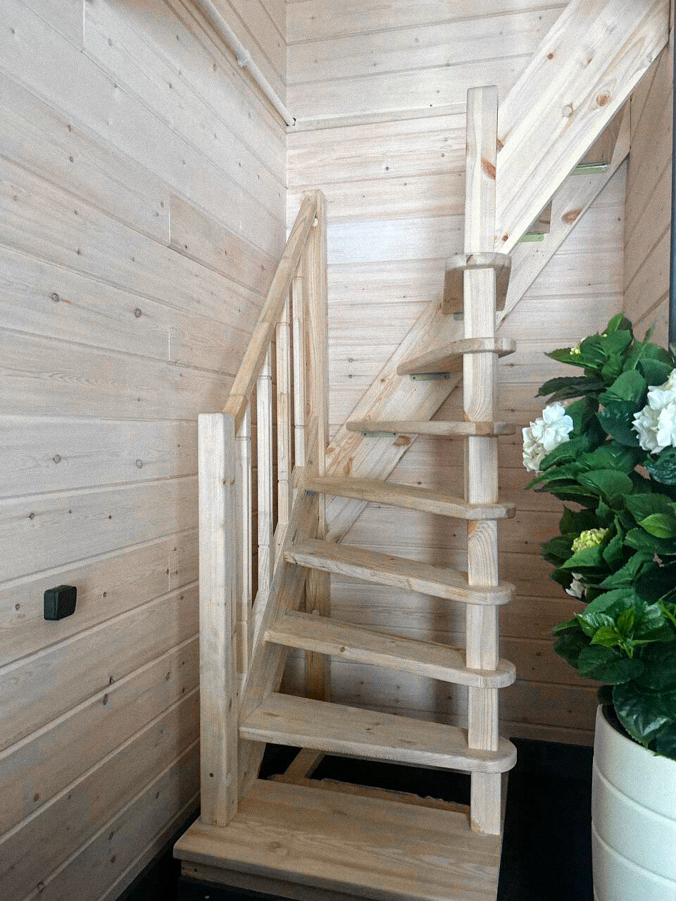 Фото Брусника № 1