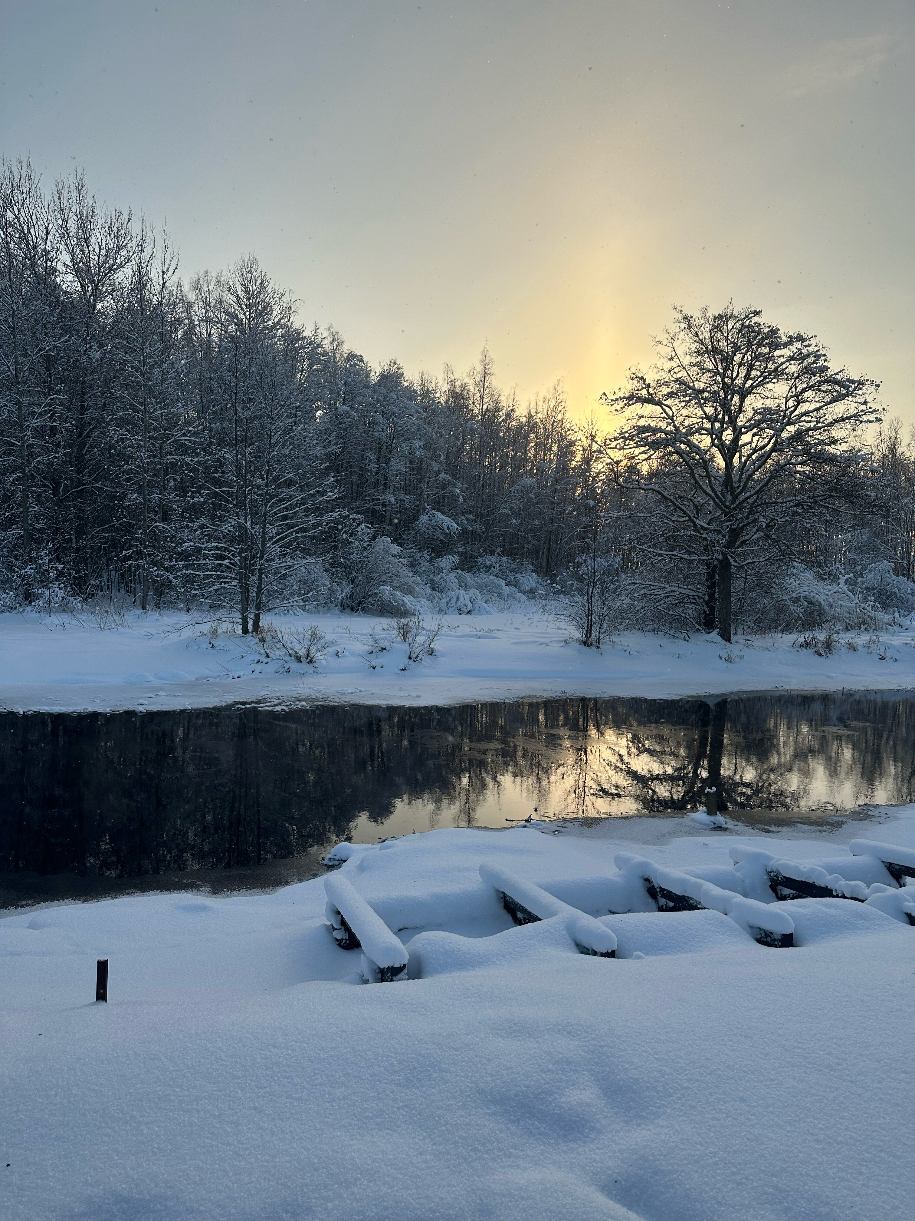 Фото Фазенда