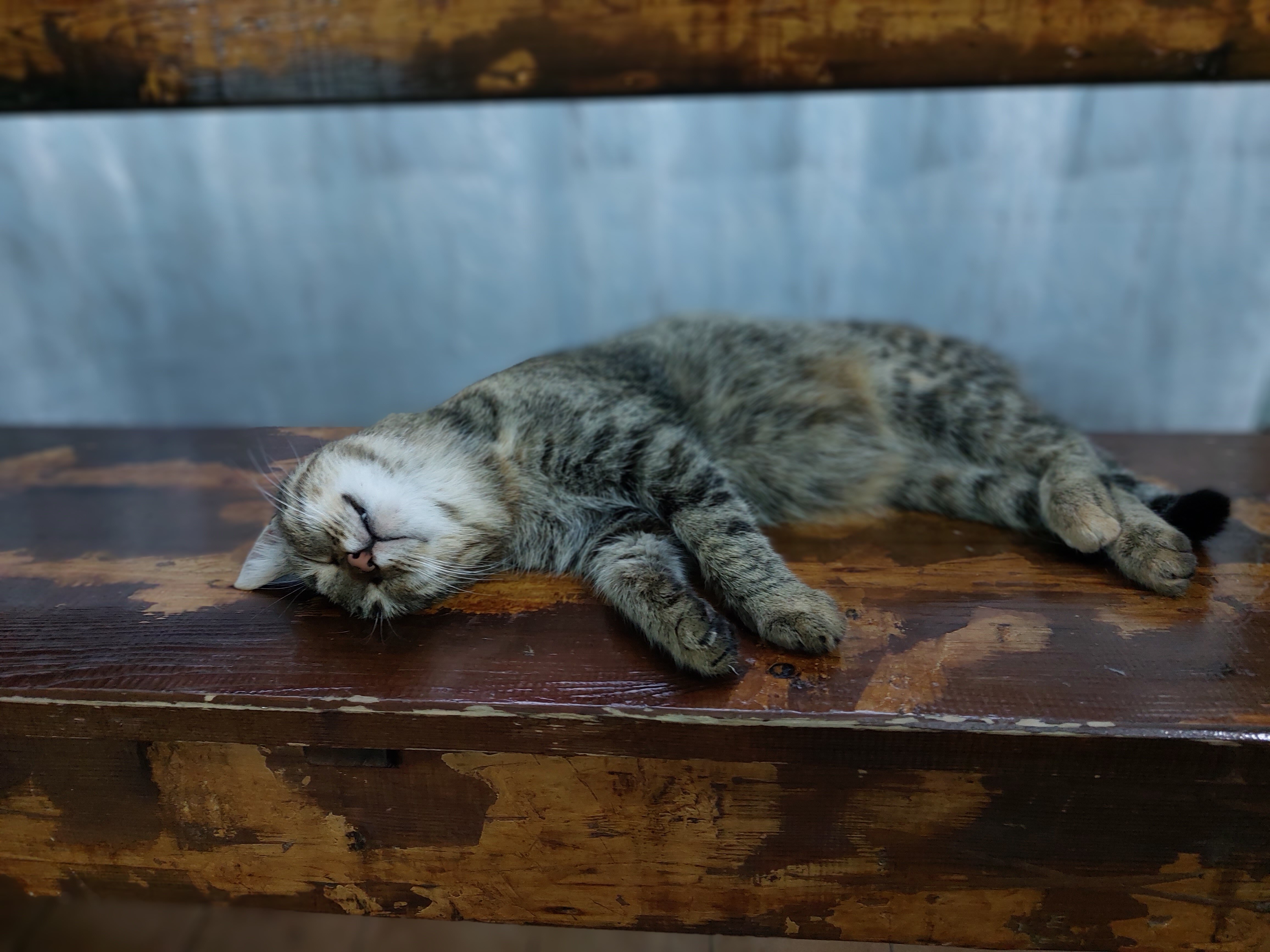 Фото Санаторий-курорт имени В. И. Чапаева