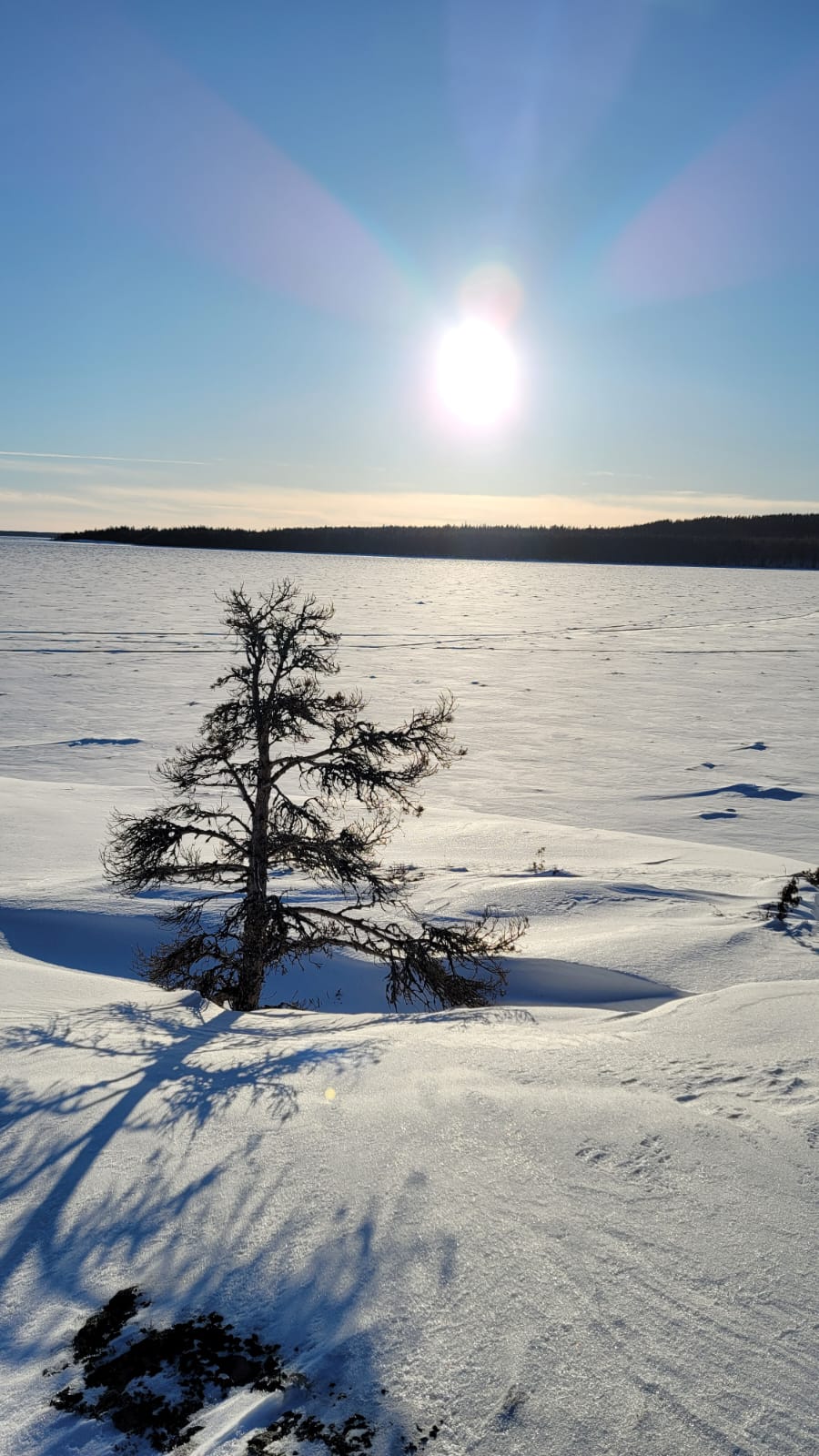 Фото Sumeria House