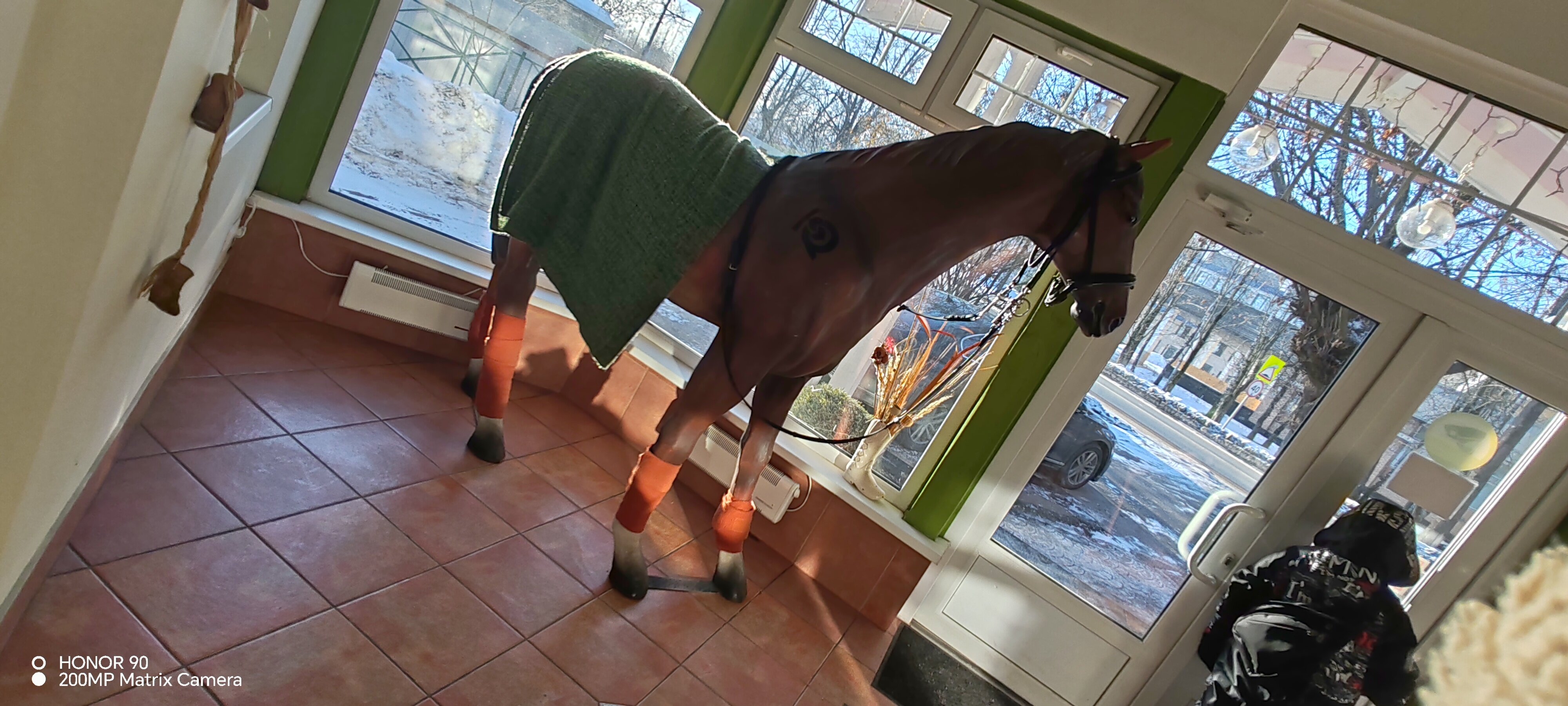 Фото Дом учёных