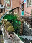Green Art (Maksima Gorkogo Avenue, 38/2) ، محل زهور