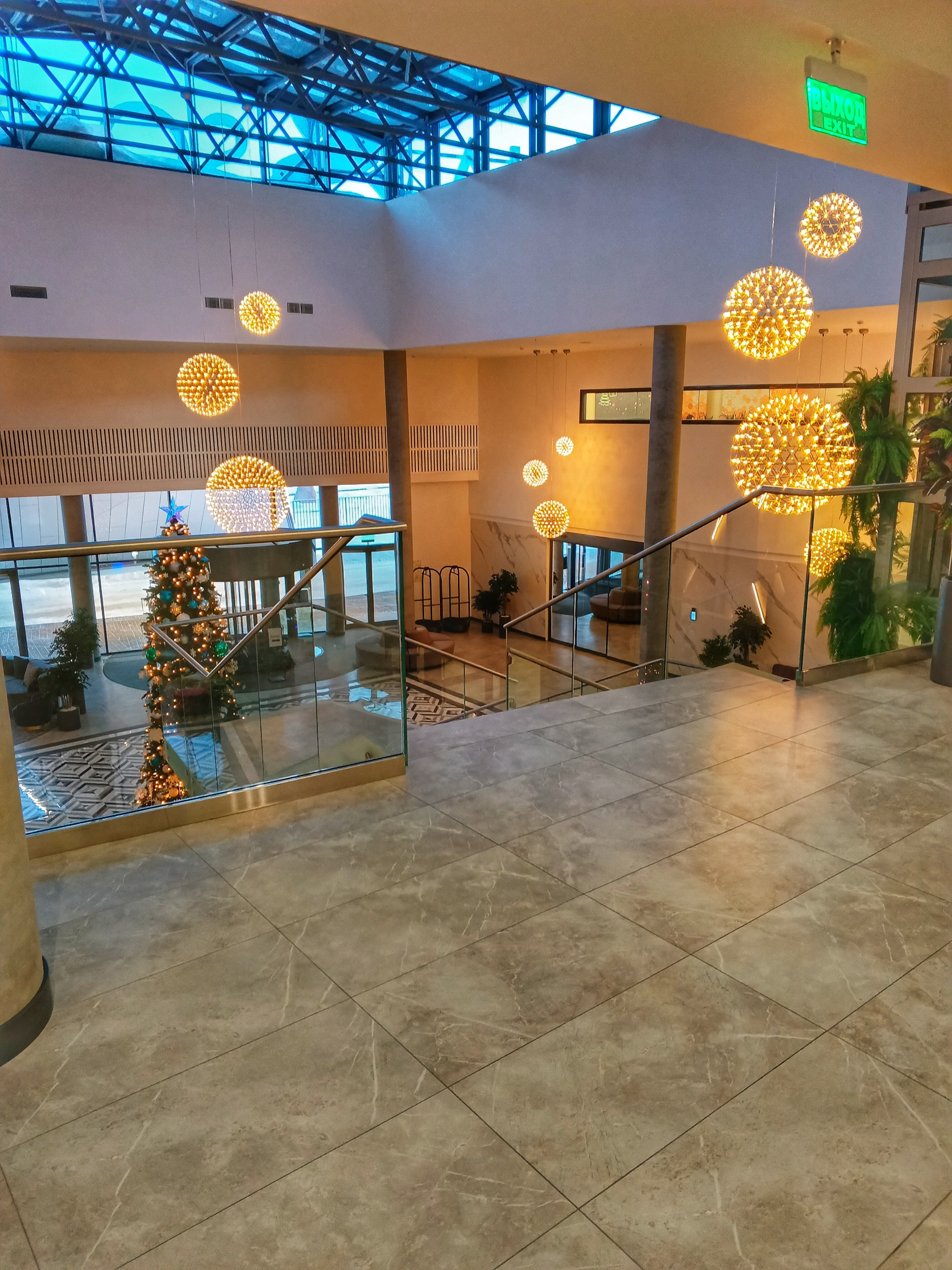 Фото Соколёна