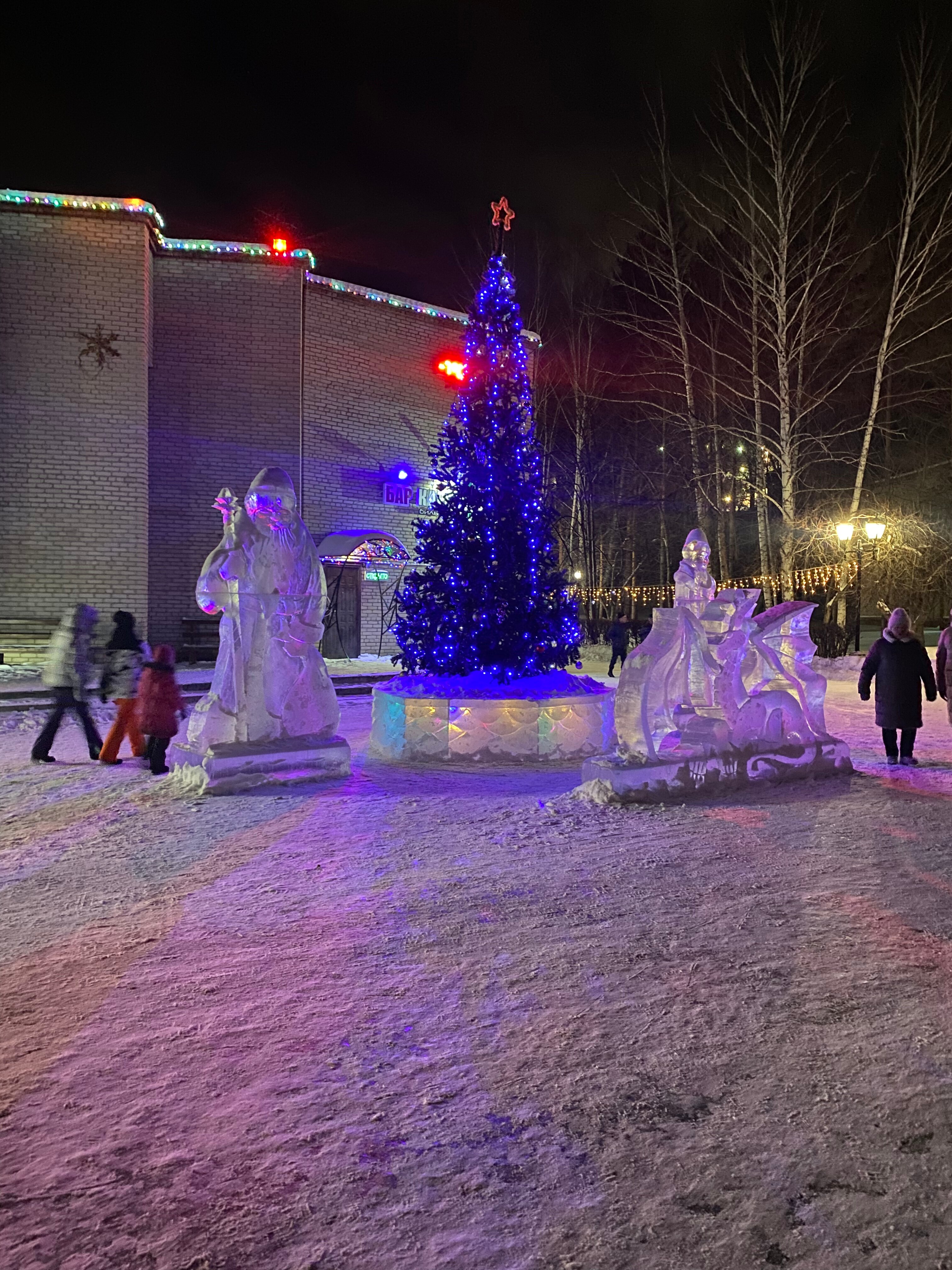 Фото Берёзки