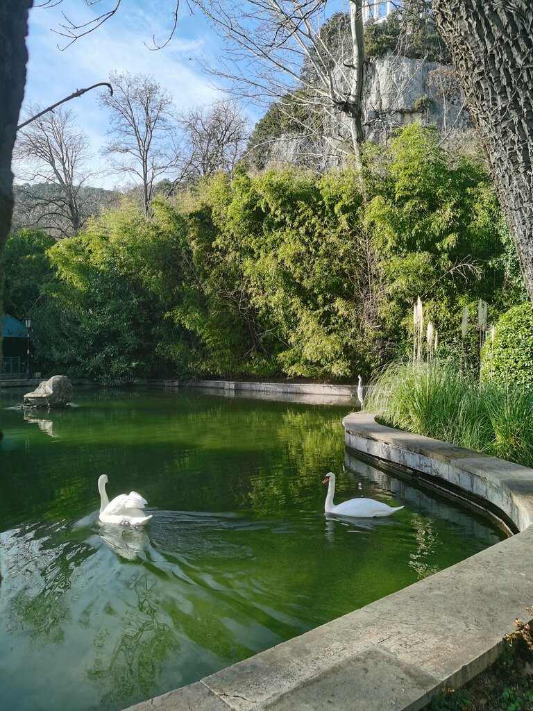 Recreation infrastructure Санаторий Нижняя Ореанда, корпус № 3 Адмиралтейский, Republic of Crimea, photo