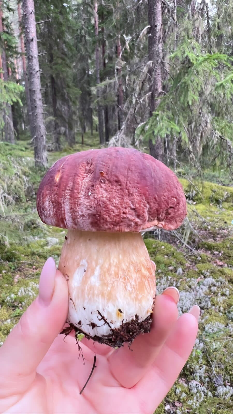 Фото Хутор Марья