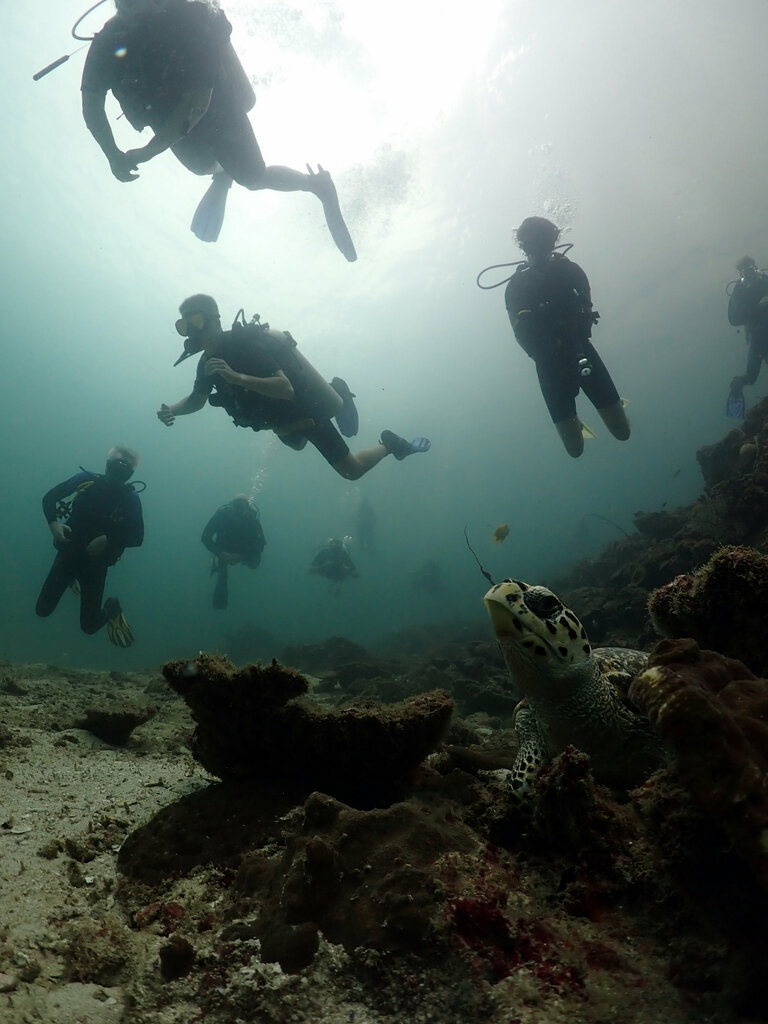 Diving Crazy Frog, Phuket Province, photo