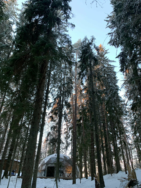 Вили Улей Карелия — фото 12
