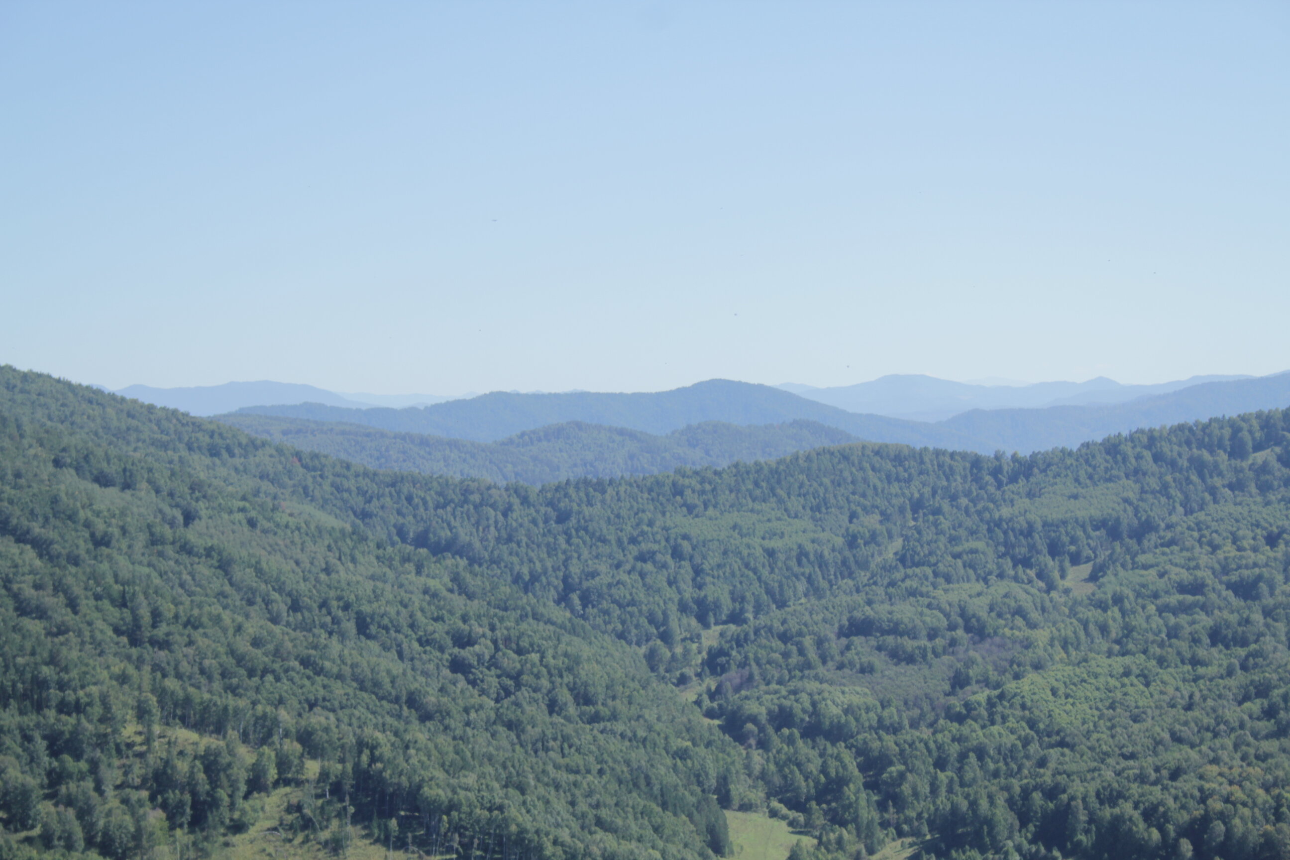 Фото Тихий Лог