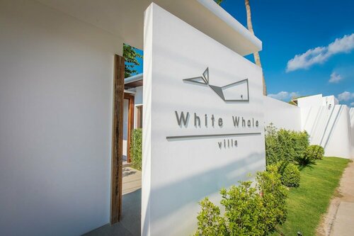 Гостиница White Whale Beachfront Pool Villa в Самуи