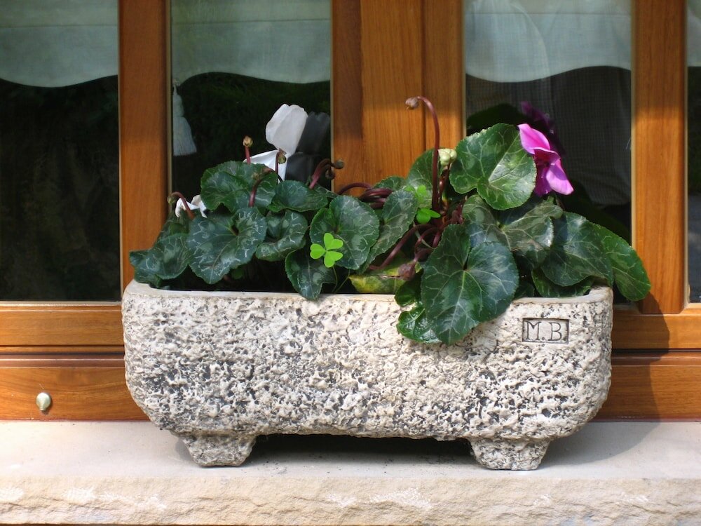 Фото Apartamentos Rurales La Portiella