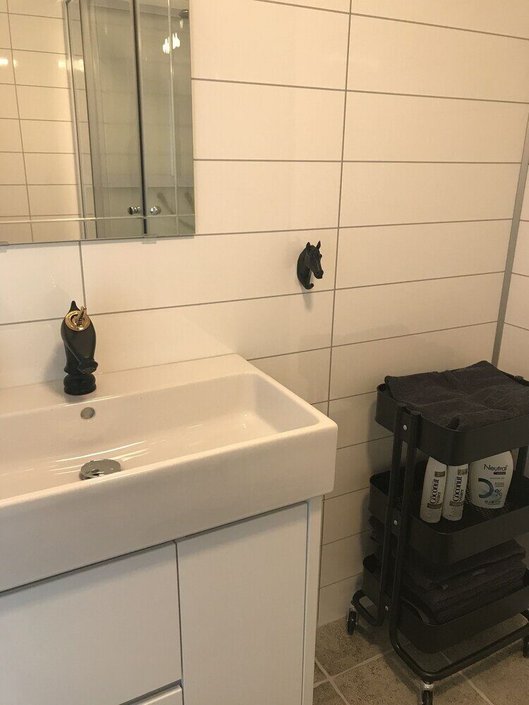 Фото Sólvangur Farm, Icelandic Horse Center