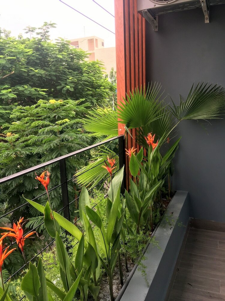 Фото Olga Apartment Danang Vietnam