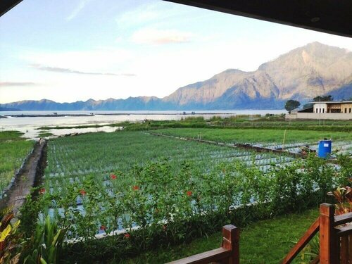 Гостиница Villa Kedisan Lake View Kintamani