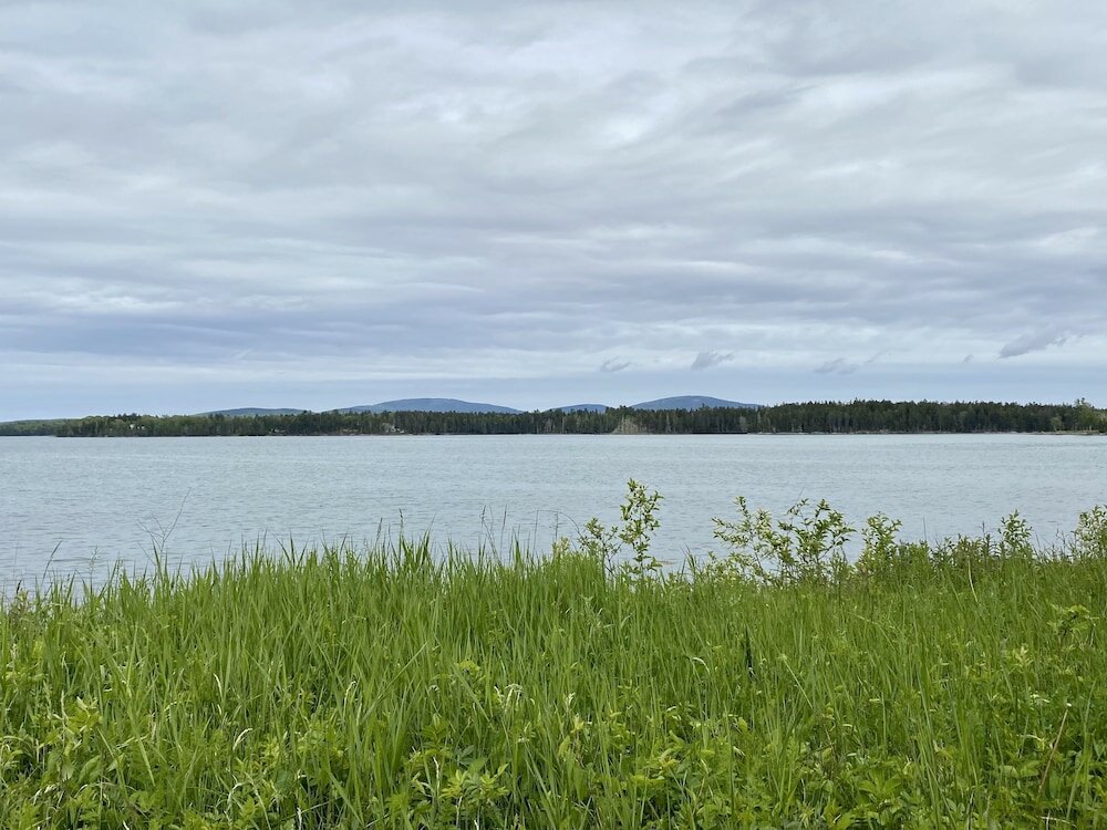Фото Island View Hotel Bar Harbor