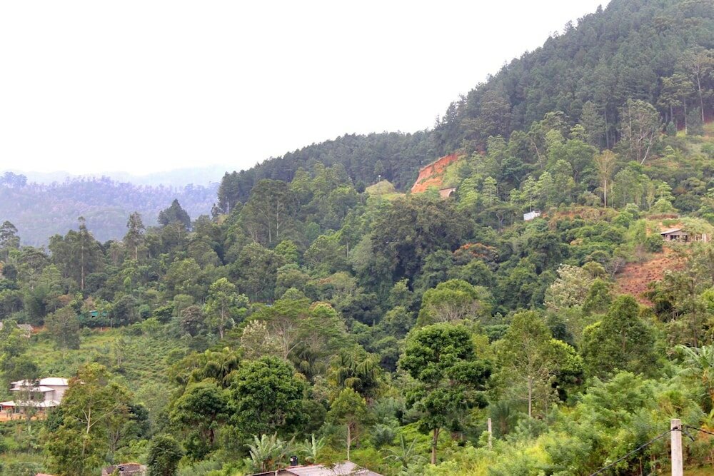 Фото The Zenith Inn Ella