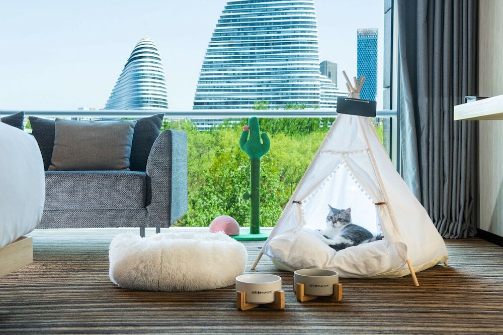 Фото Hyatt Regency Beijing Wangjing