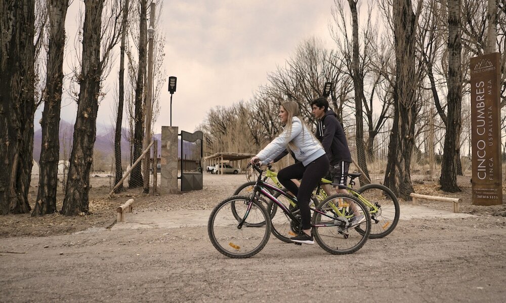 Фото Cinco Cumbres luxury Camp & Eco Lodge