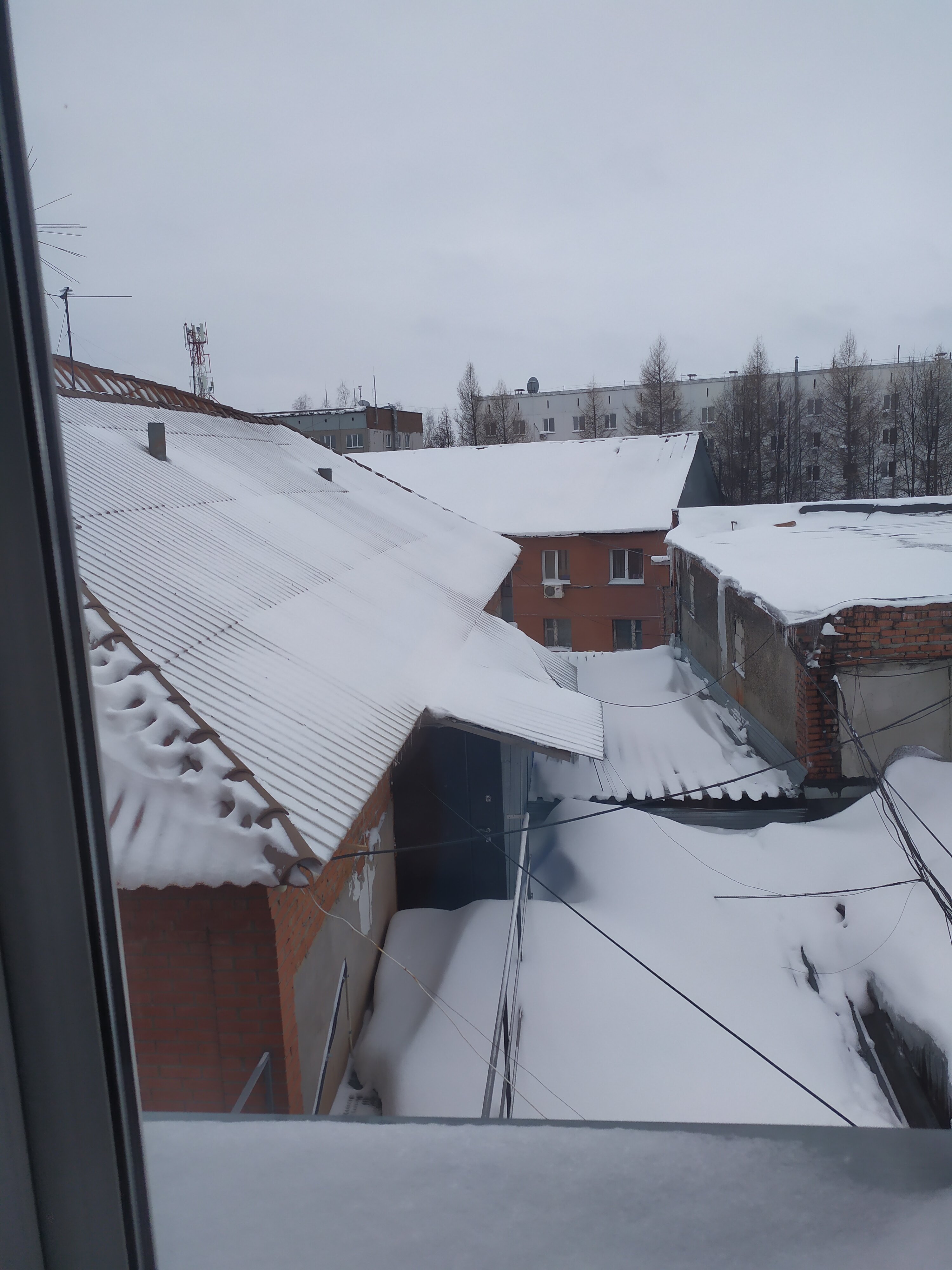 Фото Мира-Локус