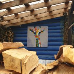 Фото Лавандовый сад