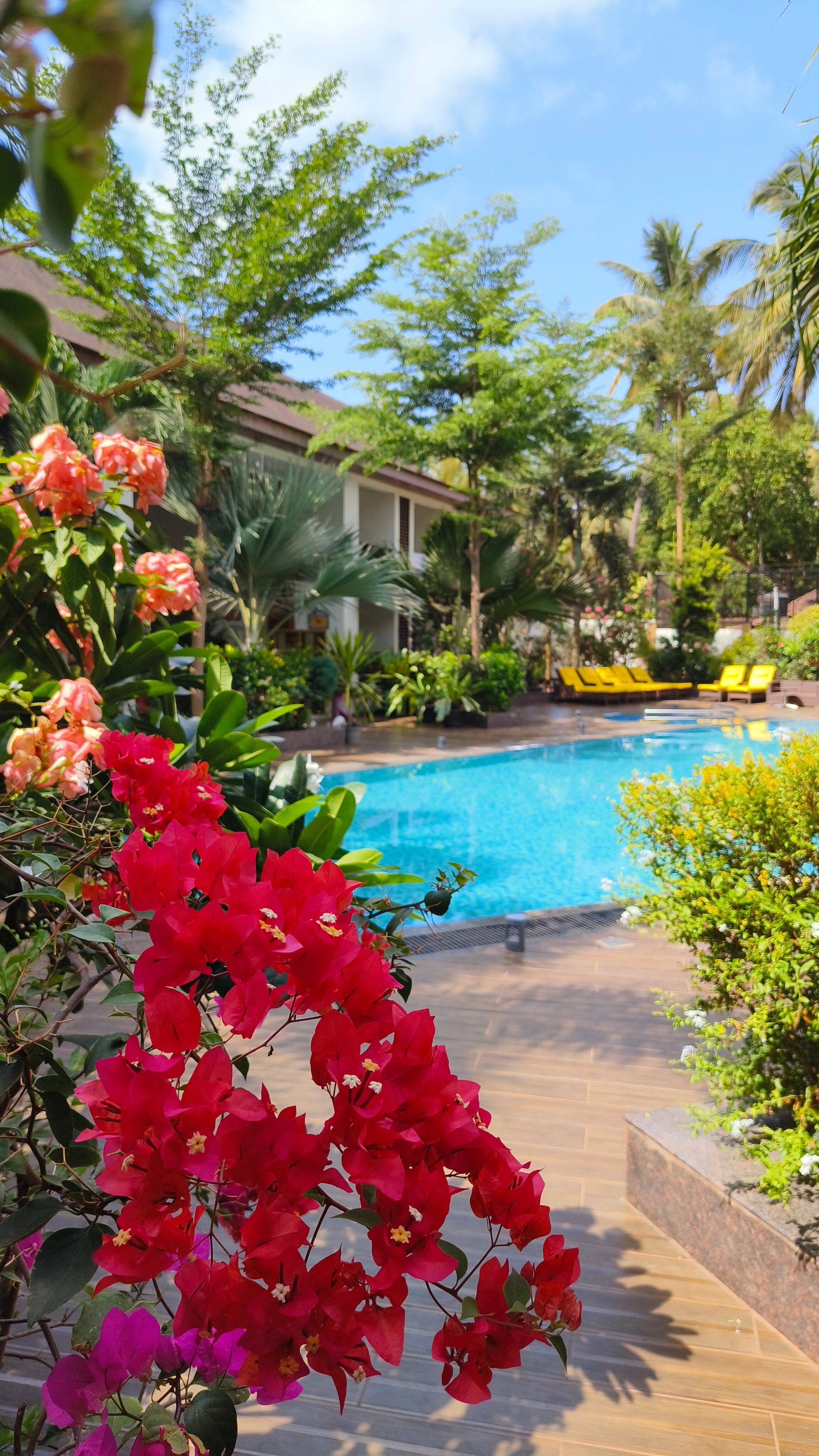 Фото Sobit Sarovar Portico Goa