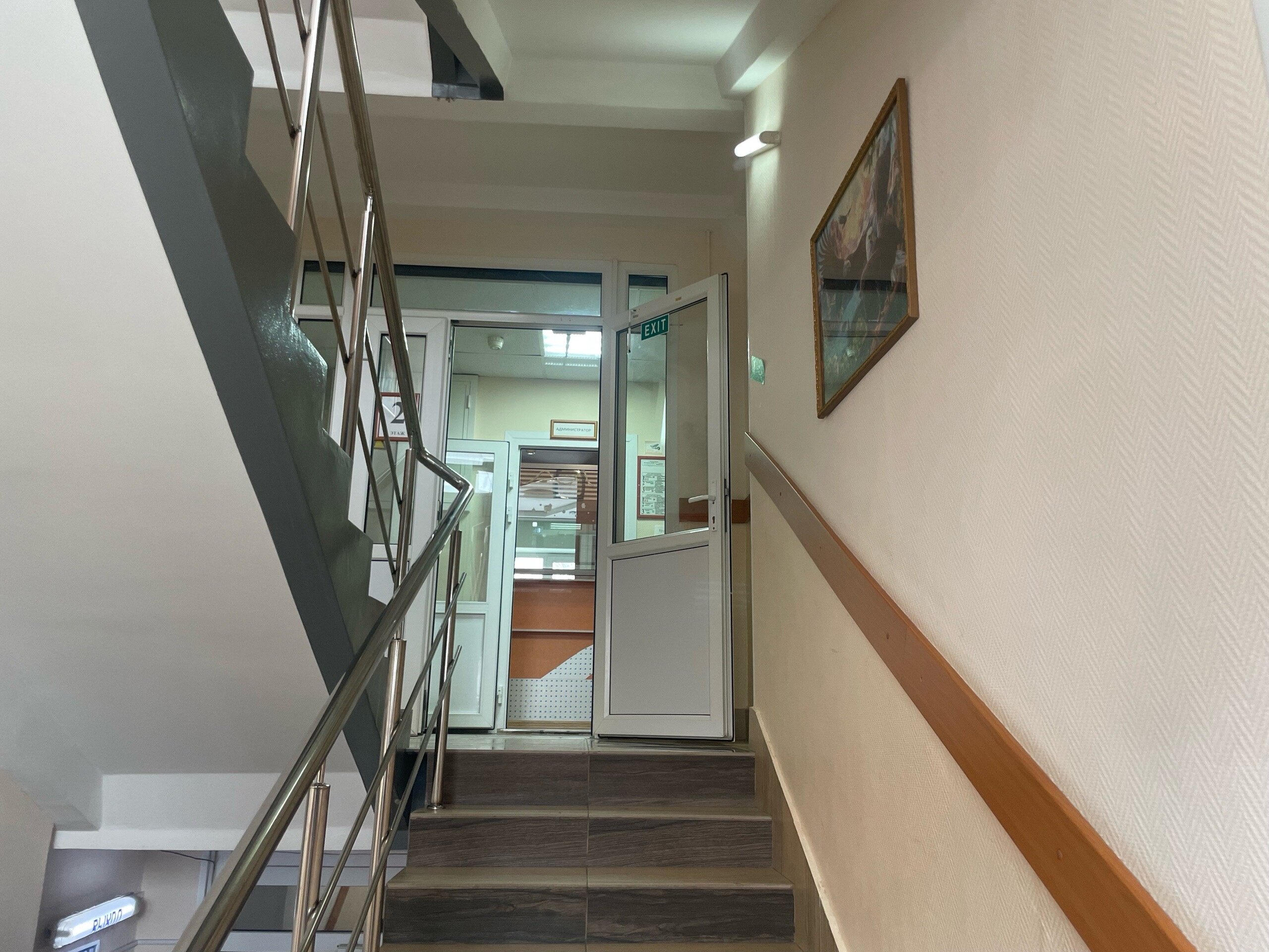 Фото Янтарь