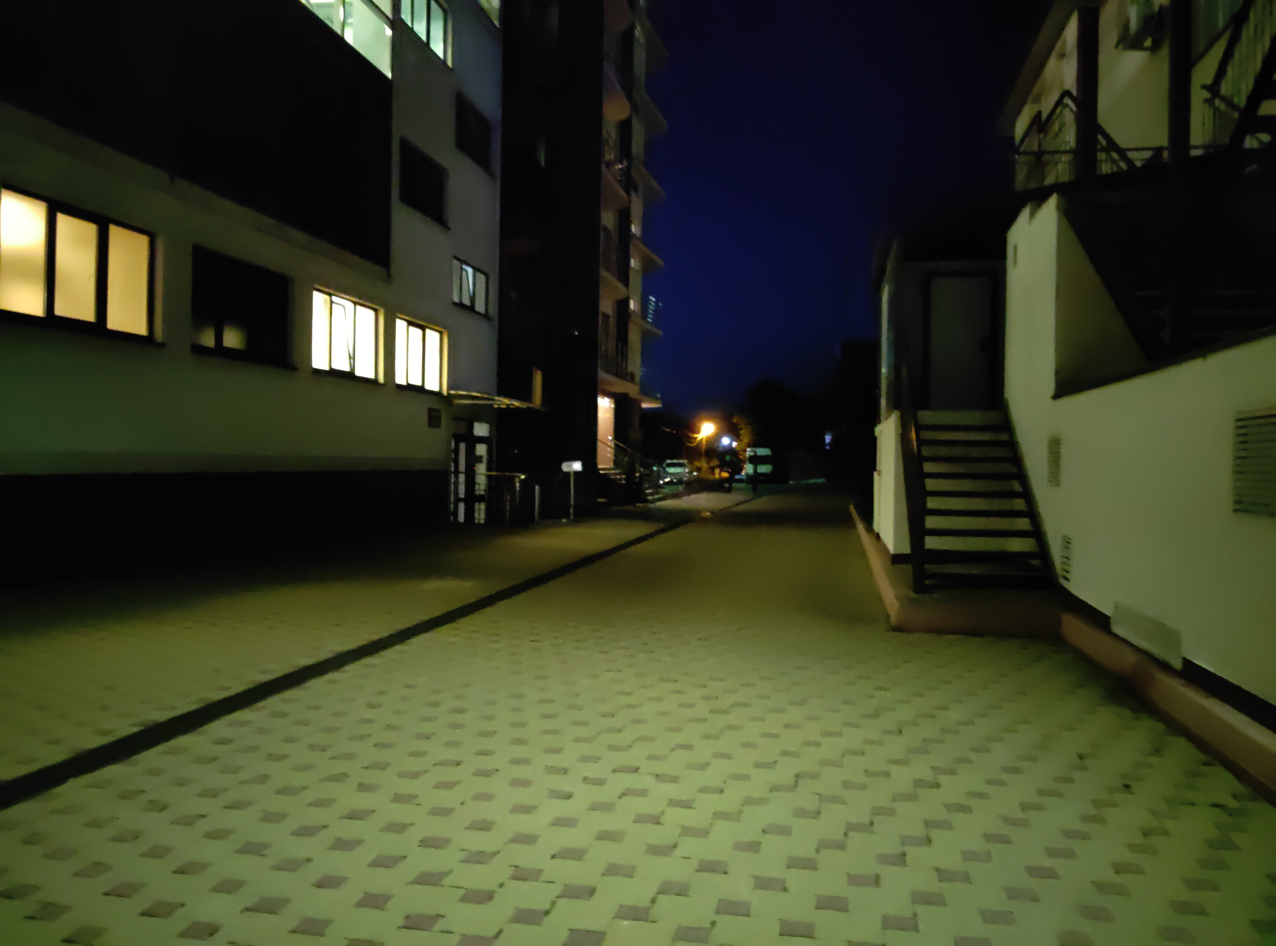 Фото Фламинго