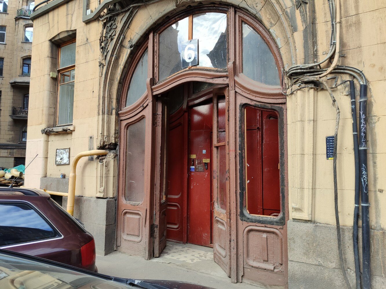 Фото Старый кот