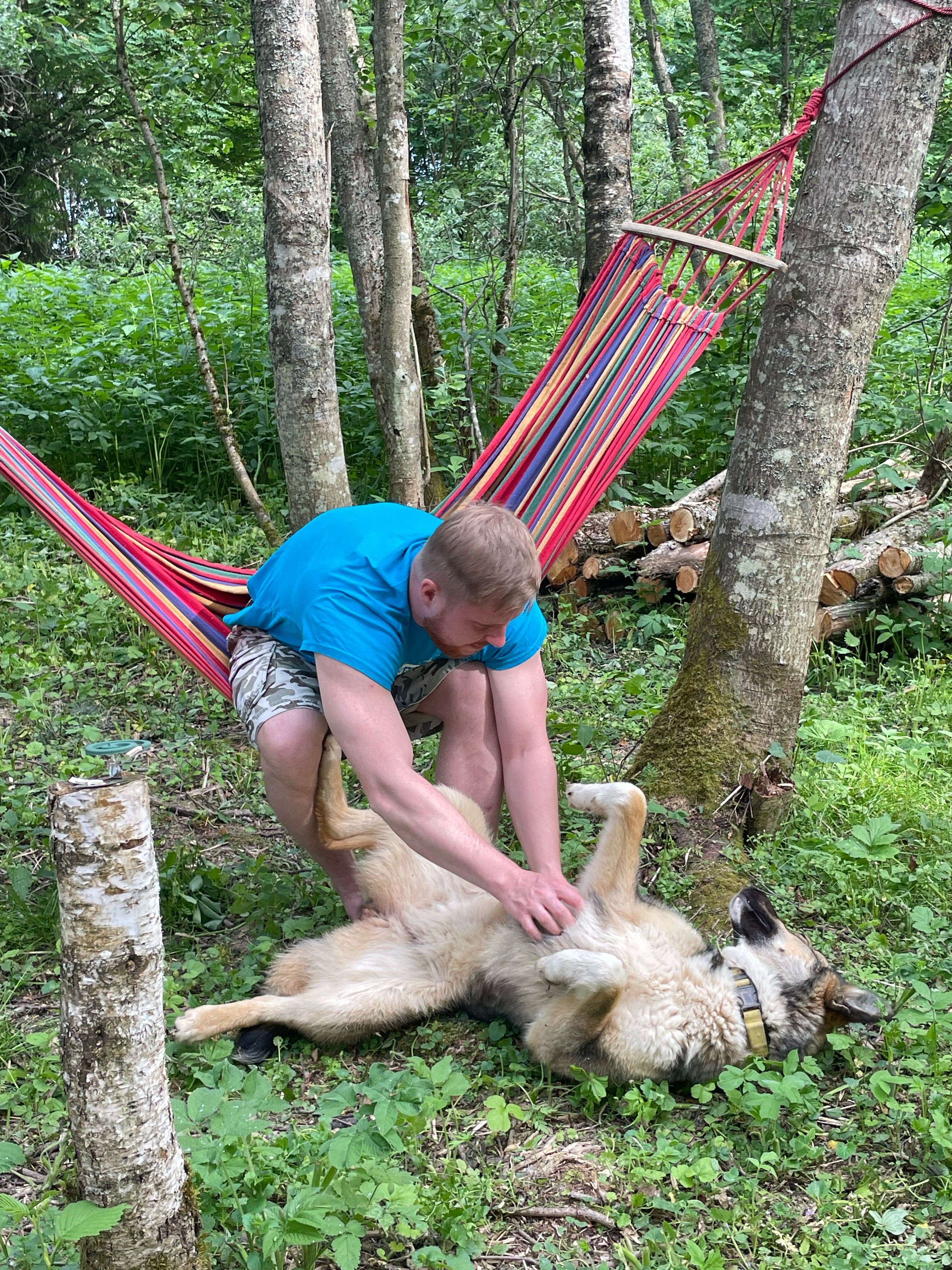 Фото Модная коза