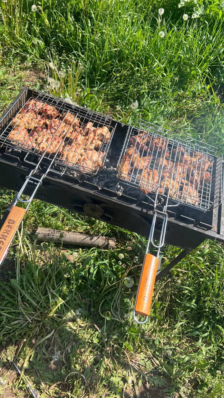 Фото Ёлки-Палки