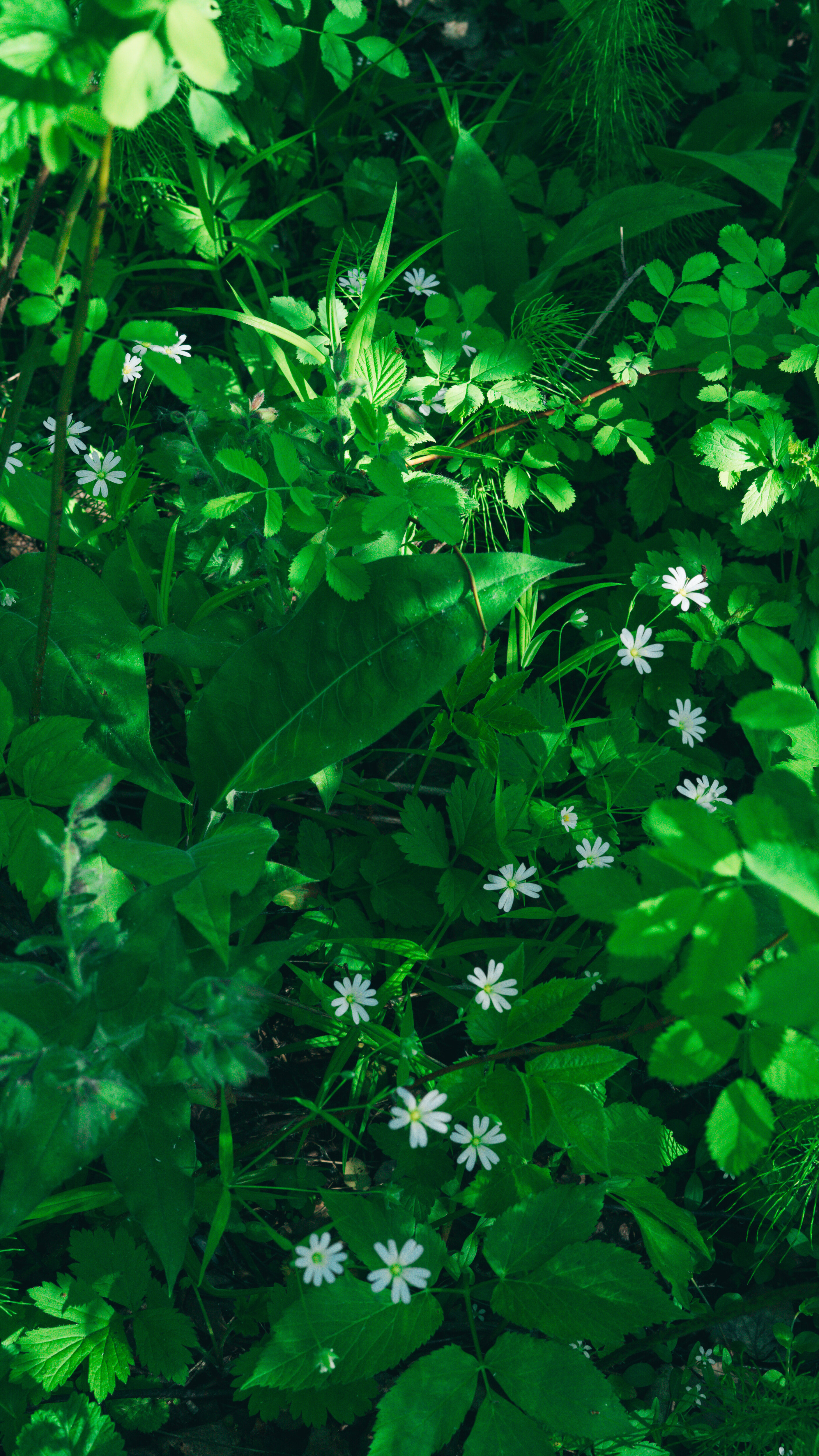 Фото Слобода