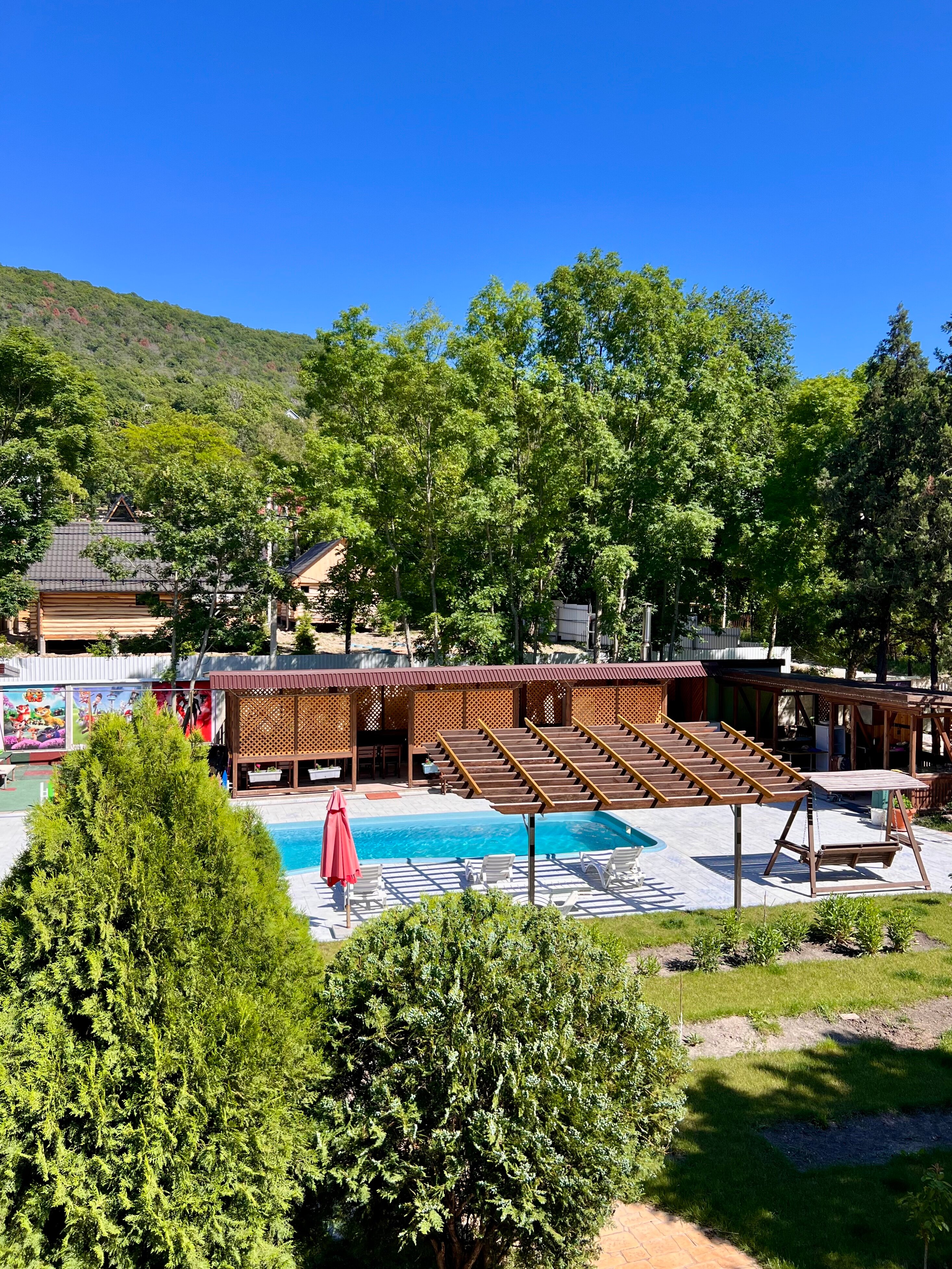 Фото Ромашка