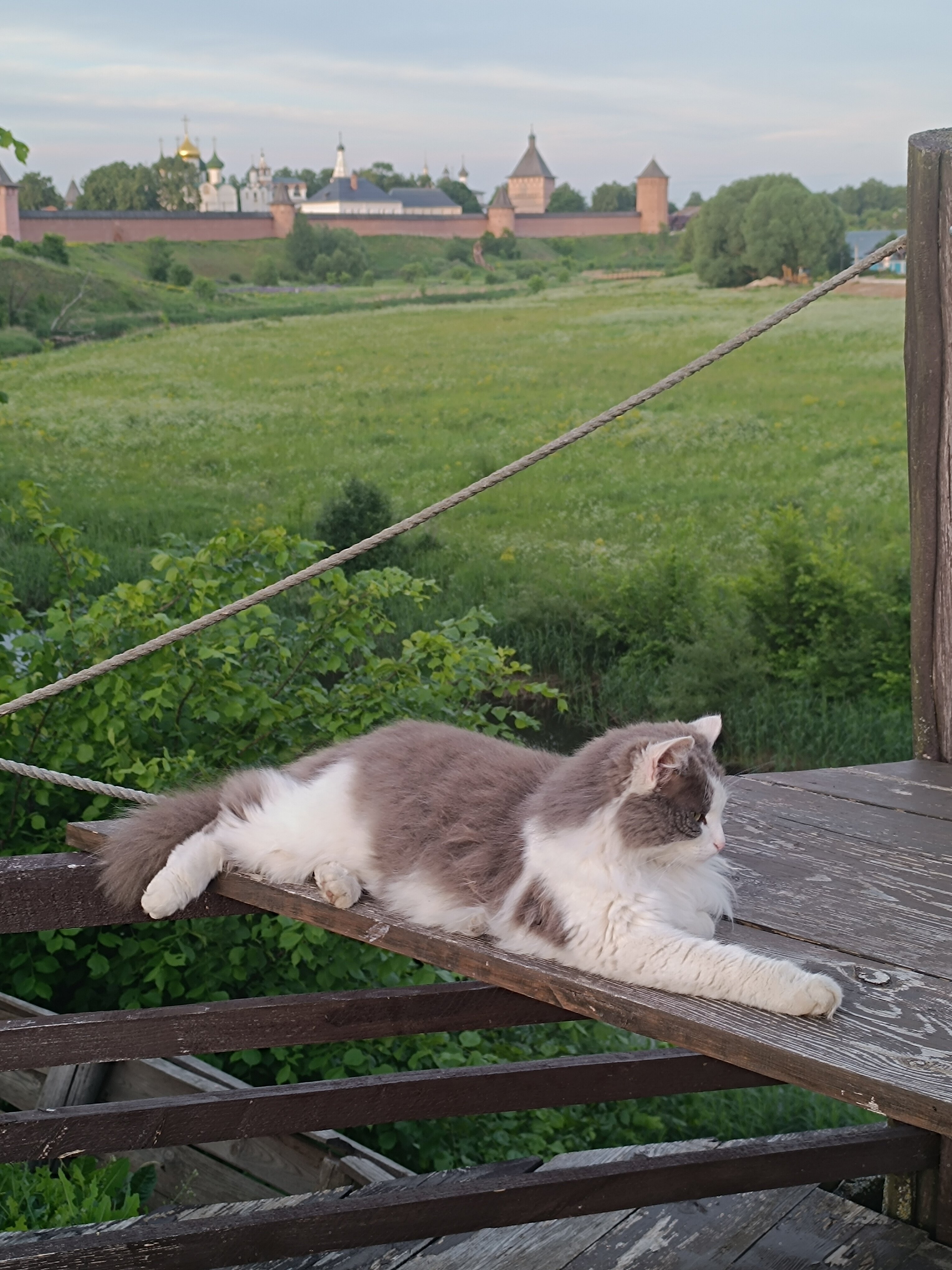 Фото Спасская горка
