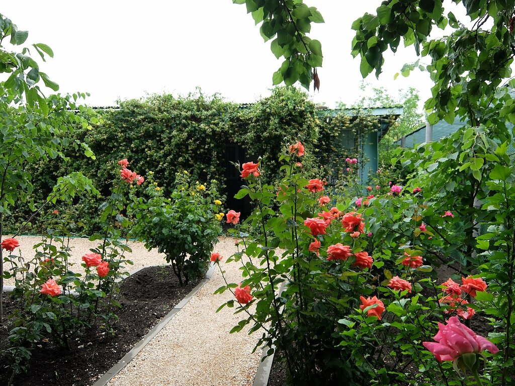Guest house Летняя прохлада, Krasnodar Krai, photo