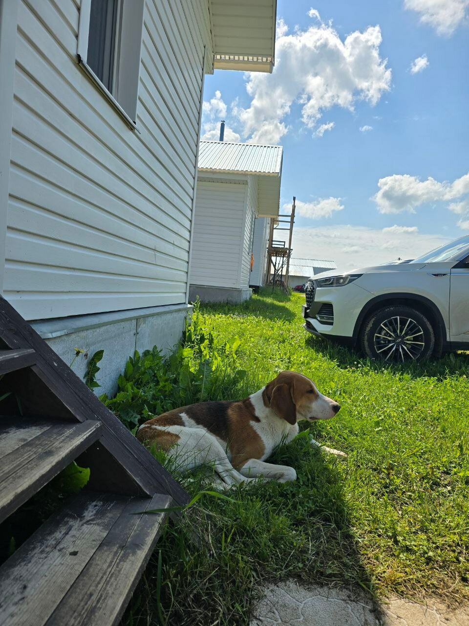 Фото На Вазузу