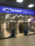 Зоозавр (Druzhby Street, 1А), pet shop