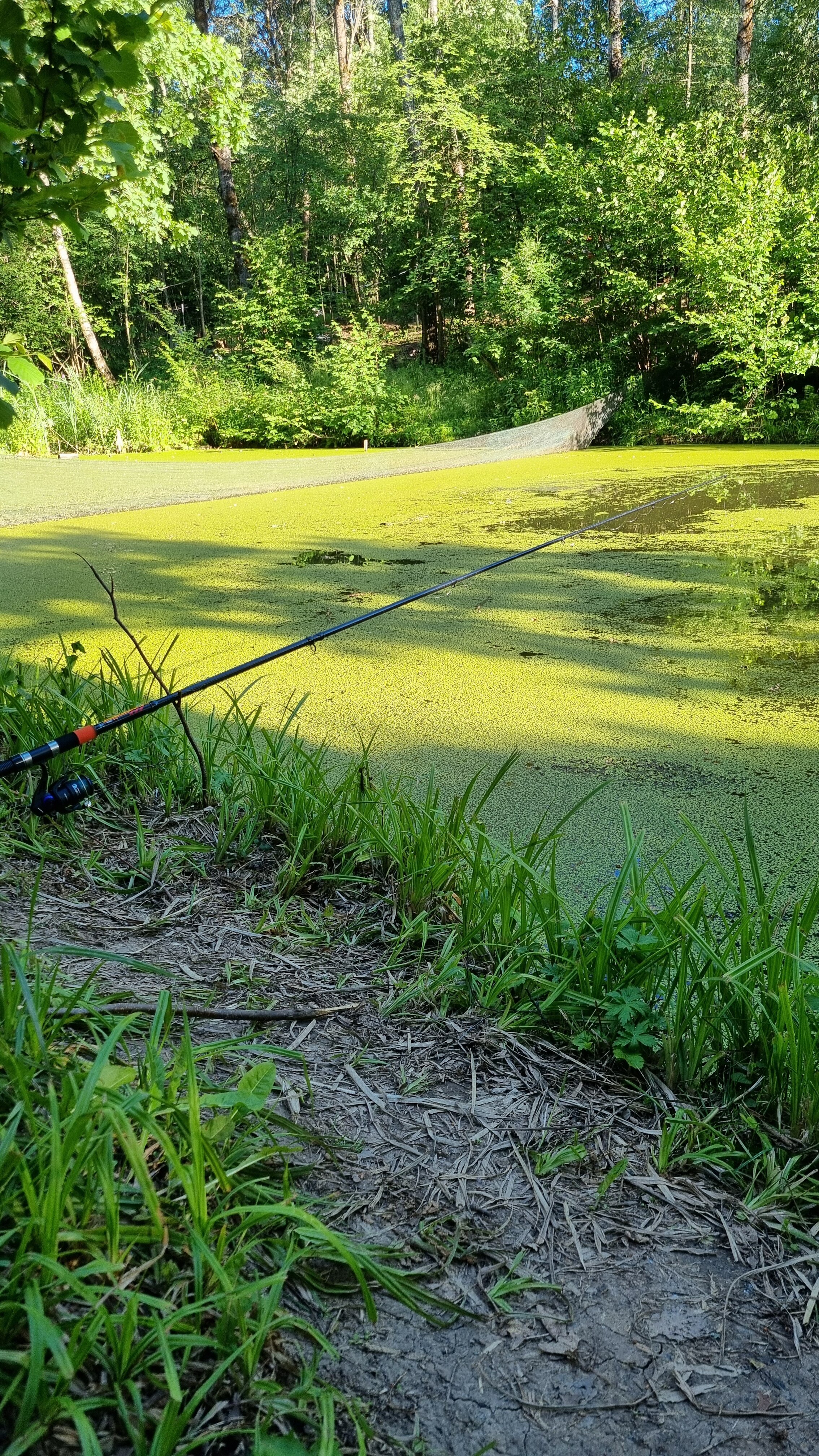 Фото Три медведя