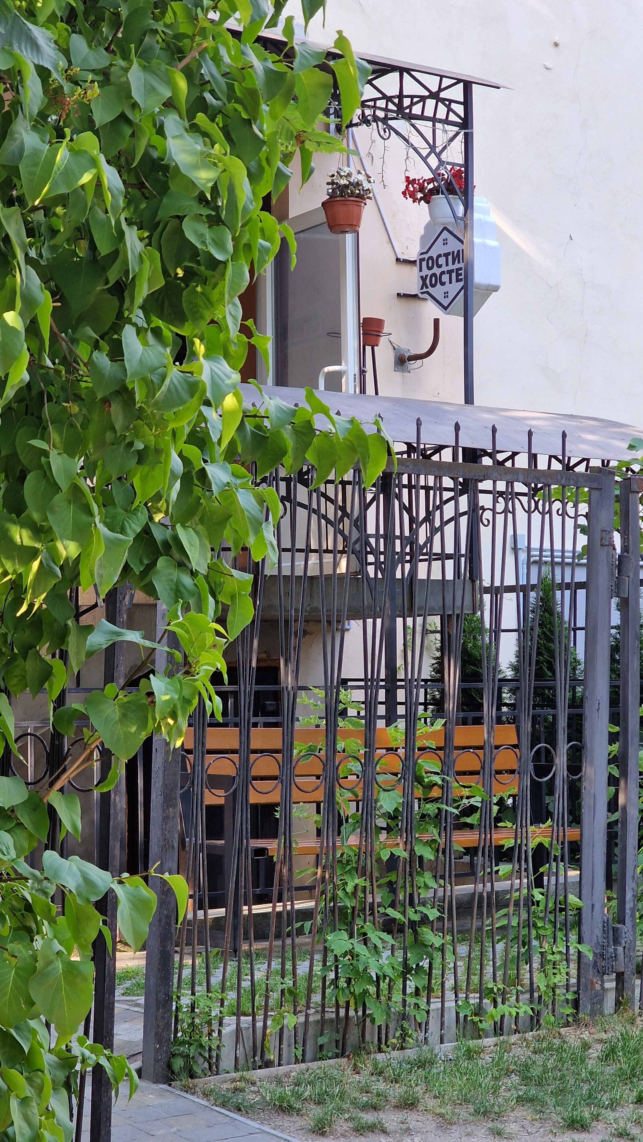 Фото Гостим