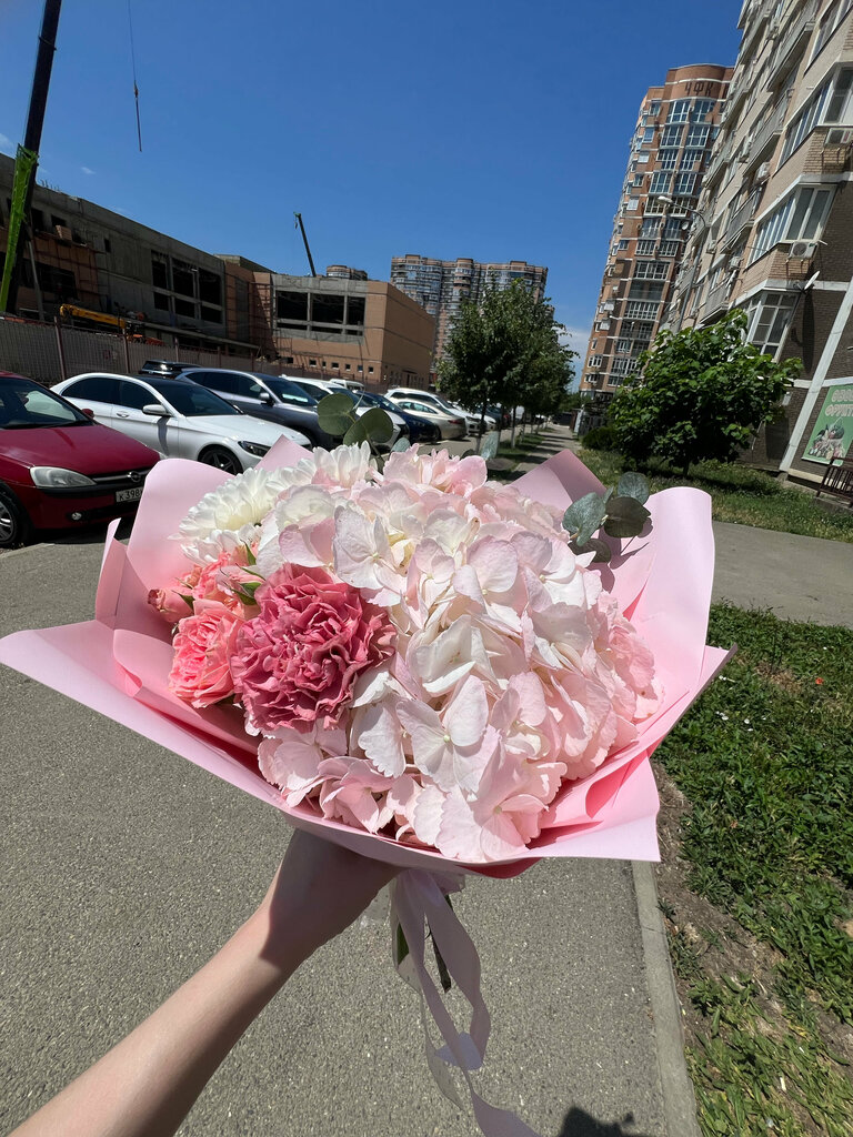 Анастасия Брусничная