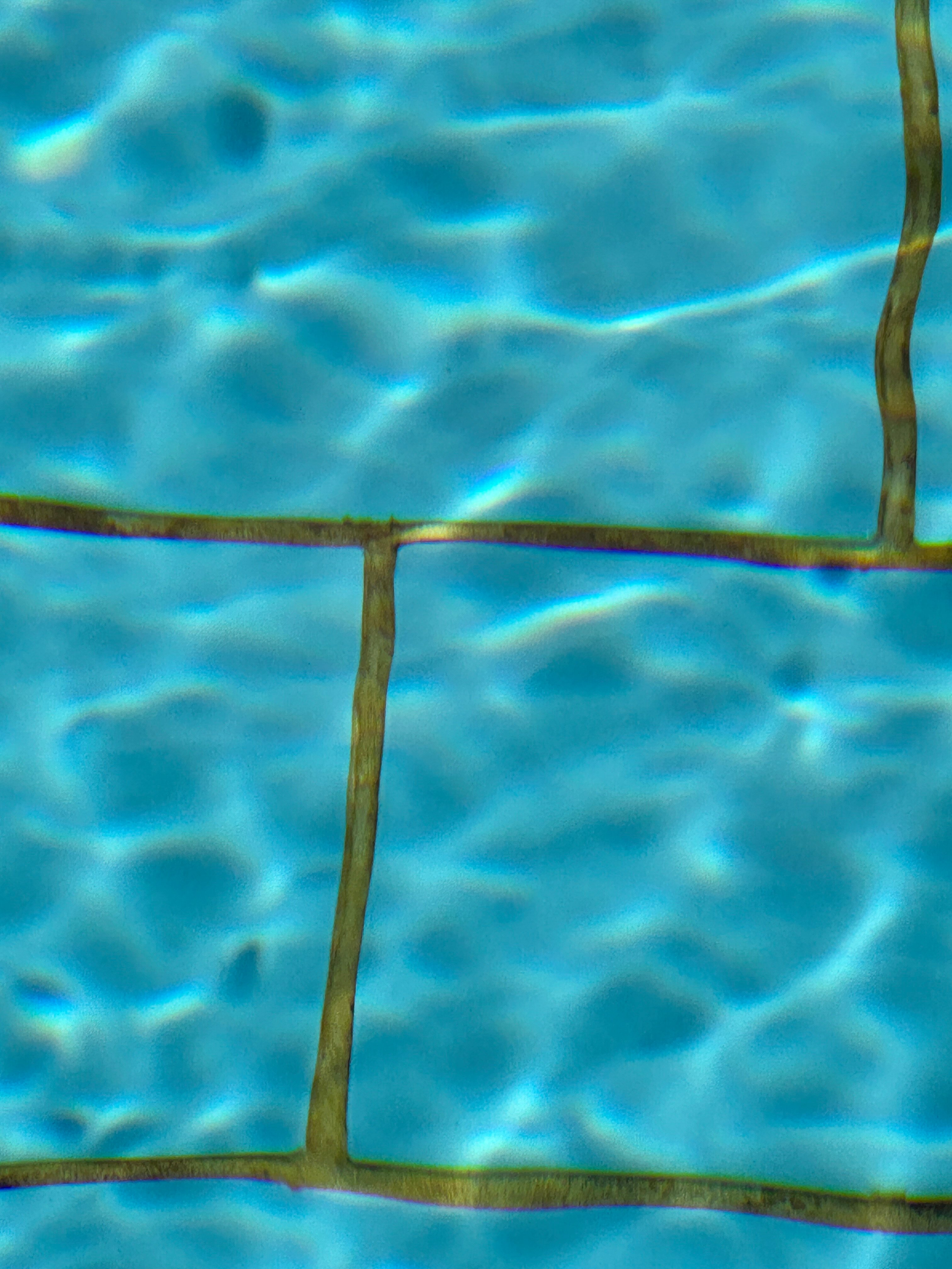 Фото Берег солнца