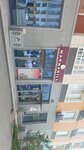 Marmarill Decor (Buqar Jyraý kóshesі, 36Б) ، ألواح الجدران والسقف