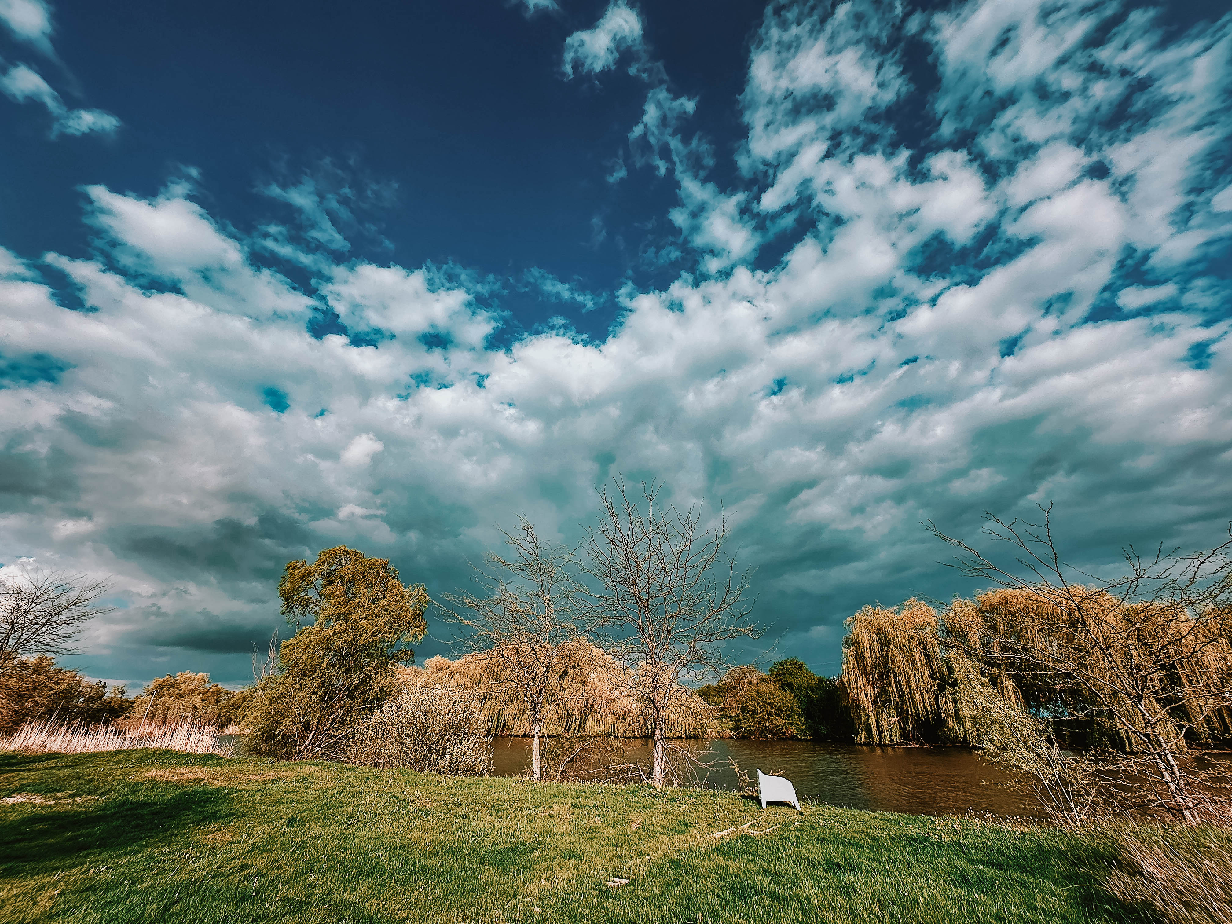 Фото Пруд Пруди