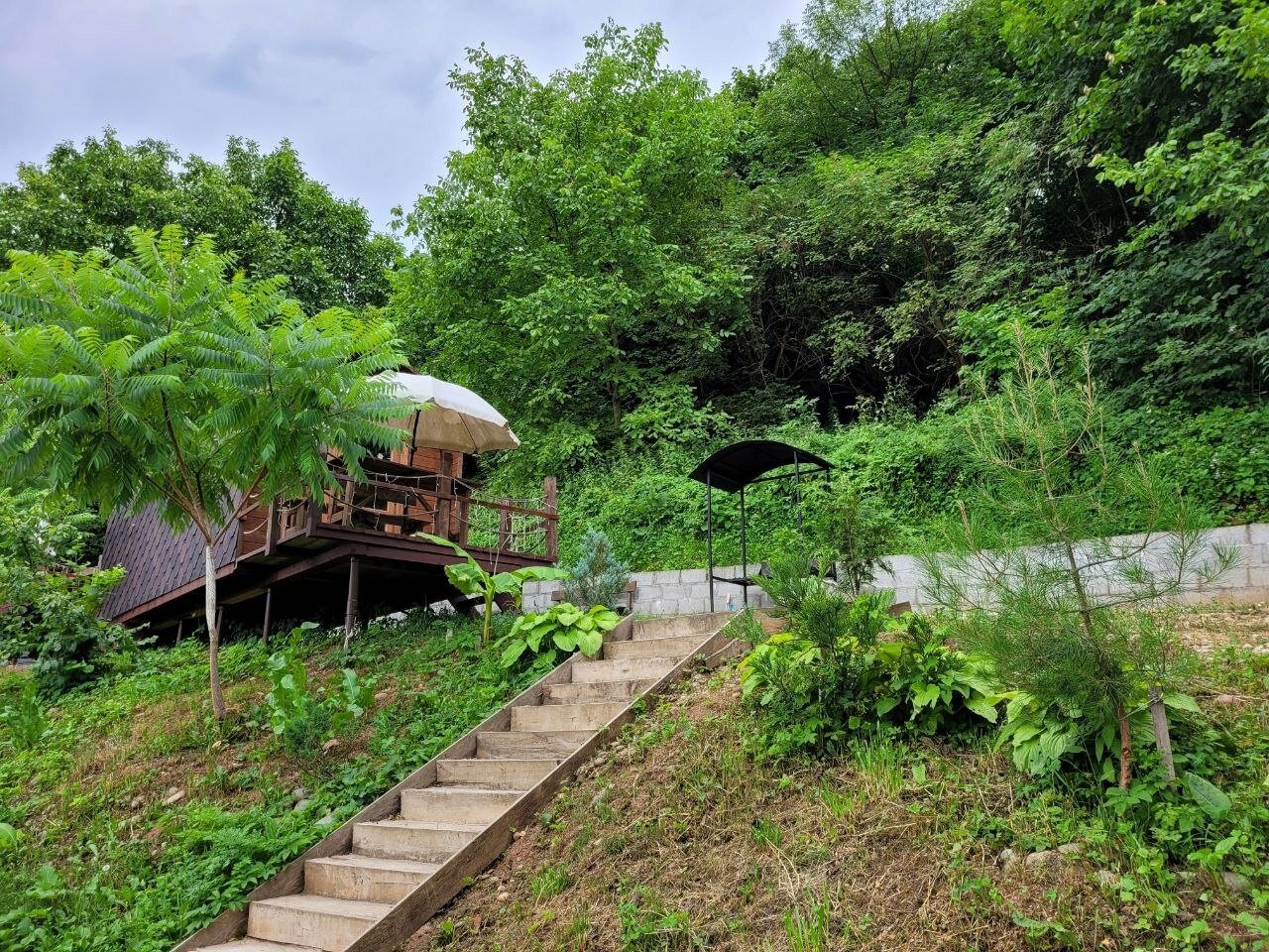 Фото Бунгало у реки