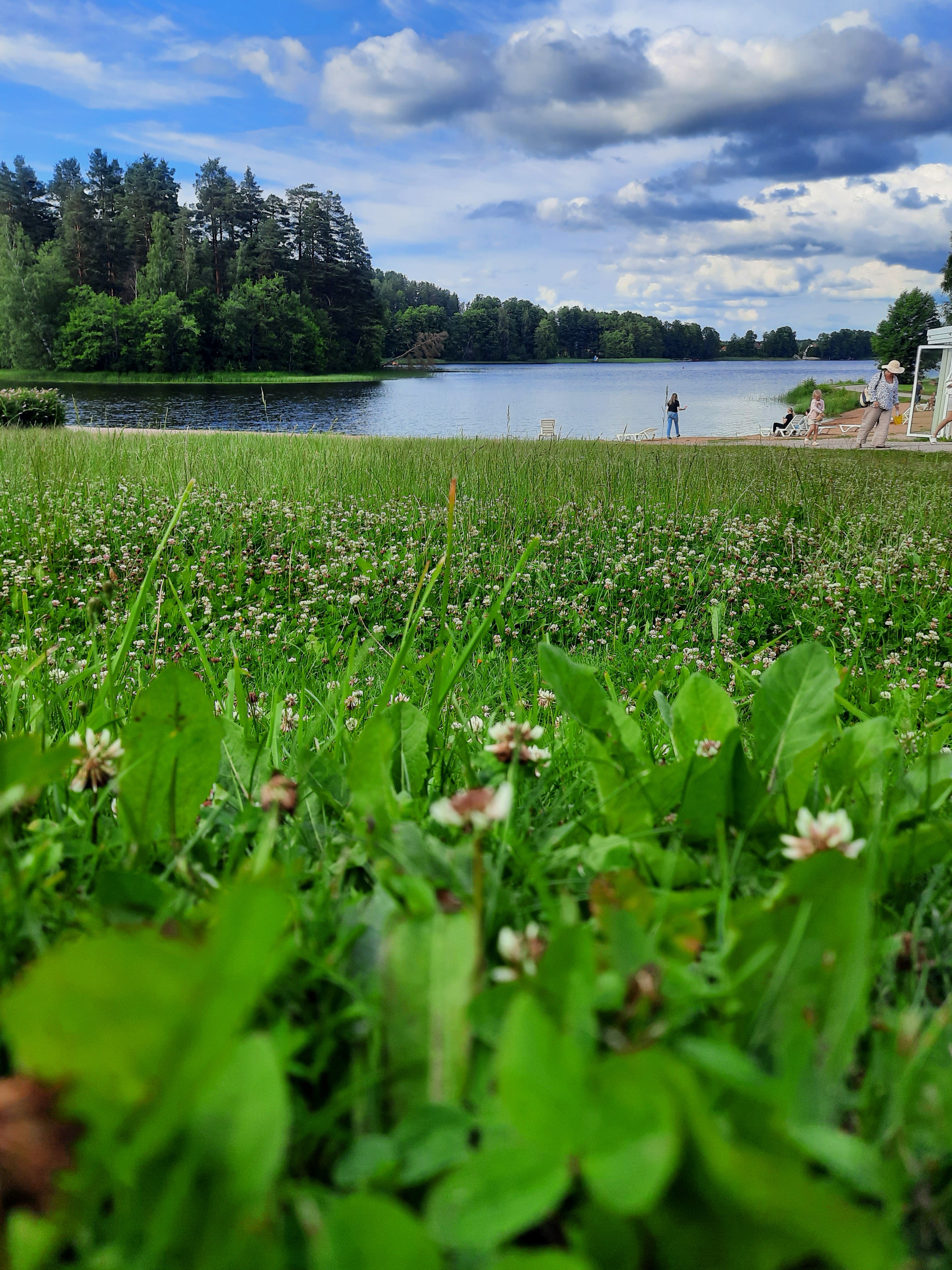 Фото Давинчи Парк