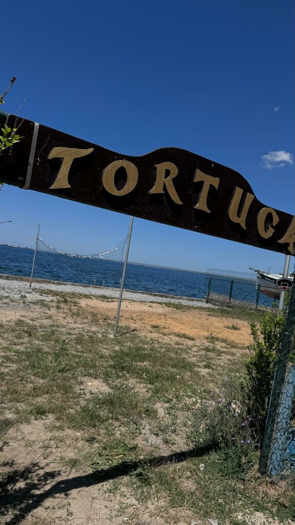 Hotel Tortuga, Republic of Crimea, photo