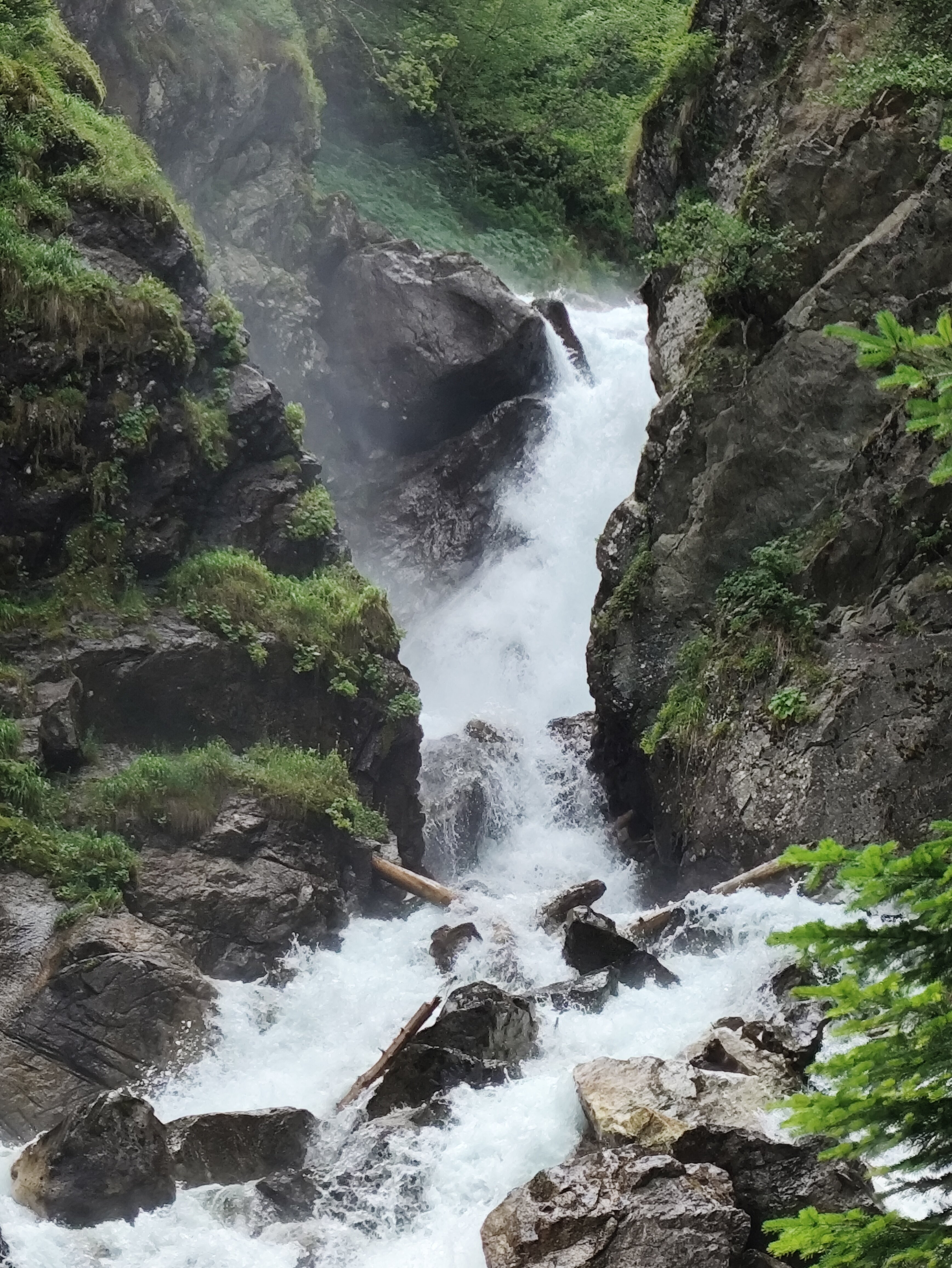 Фото Леопард