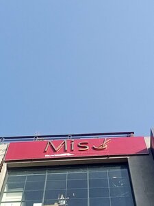 Miso Asian Fusion (Blue Sector, 6), restaurant