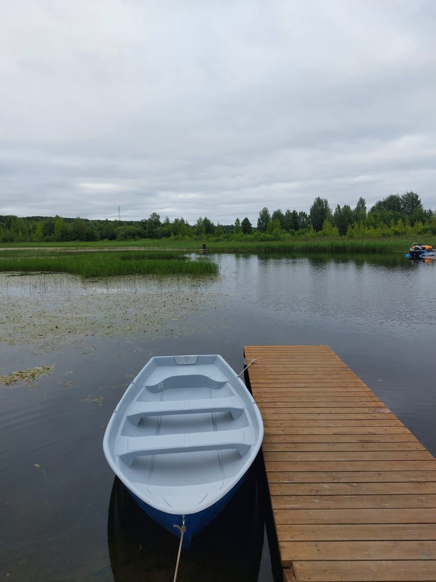 Фото Таволга